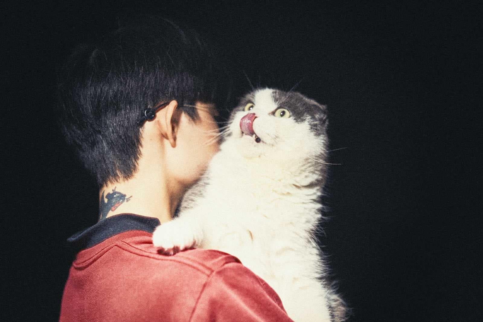 La naiba Vittu Kurat Kurwa!