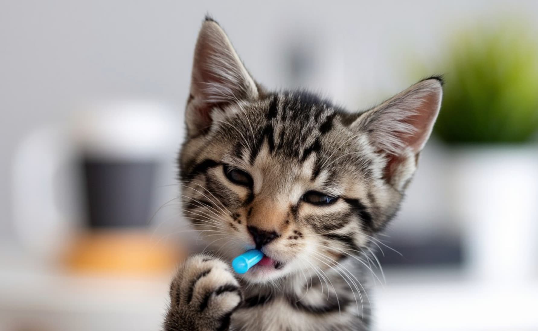 Belated neuropharmacology links...